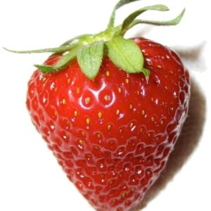 Fresh Strawberry – 250g Pack